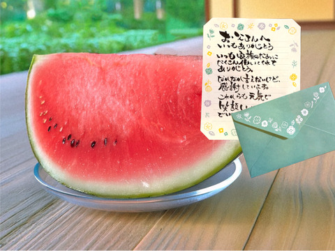 【父の日ギフト】種ごと食べれる！アレンジもしやすいスイカ『ぷちっと』（1玉：約4人分）　メッセージカード付き