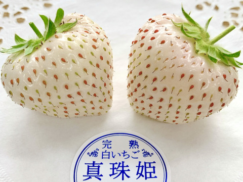 【🏅いちごグランプリ2025受賞・唯一の白いちご】軽井沢高原プレミアムいちご・化学農薬を限界まで抑えたこだわりの当園独自農法★希少品種・真珠姫★紅白いちご詰め合わせ・15粒または18粒入り【贈答用】