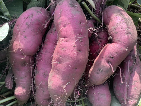 🍠さつまいも　紅あずま🍠　２kg❗️