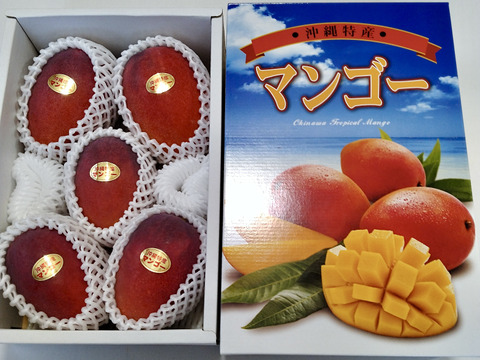 伊江島産マンゴー（優品・2kg・4〜6個入り）