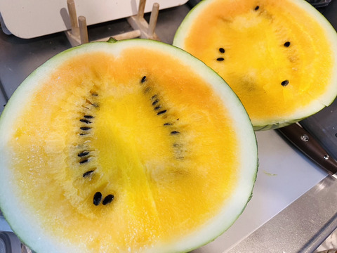 【訳あり】糖度13-15【サマーオレンジ】『大里果樹園のスイカ』M-Ｌ