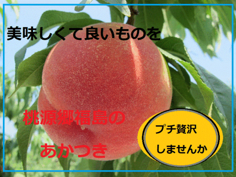 感動の甘さ！贈答に！桃源郷福島の『あかつき』（３kg箱9〜12個）【本州の方限定】