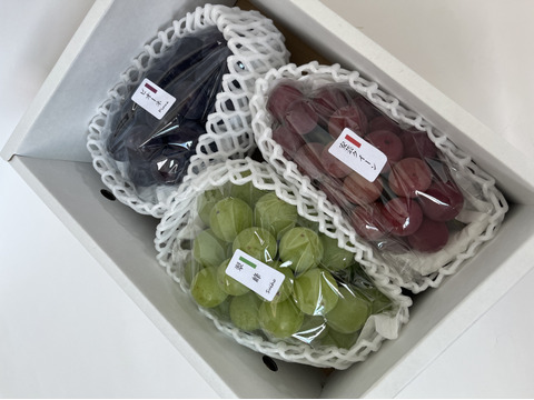 【敬老の日ギフト】詰合せ 3房（シャインマスカット入）