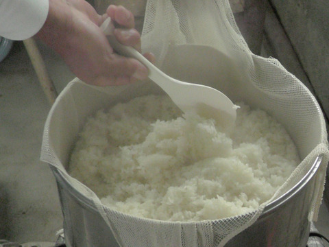 【冬ギフト】【年末~お正月/予約用】お餅ってこんなにトロ甘！『本格杵つき餅』１２個入×４袋(3,600g)