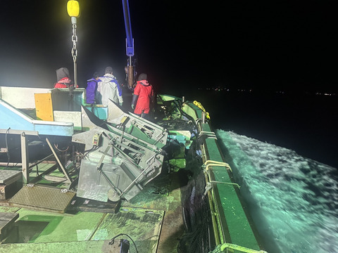 今が旬！大分豊後水道カボス寒ぶりフィレ