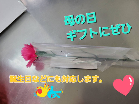お魚ギフトBOX(母の日、誕生日、お返し、などに)