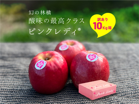 🎊発送中🎊【ヒルナンデスでました！】ピンクレディー®︎ 10キロ訳あり品 加工用にご利用ください！長野県 信州 安曇野 リンゴ 幻 幻のリンゴ 予約 希少 旬 ID62476