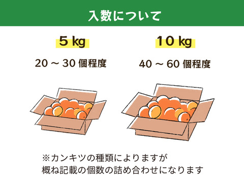 【食べ比べ】みかん・カンキツ詰め合わせセット5kg｜和歌山県海南市下津町から旬のみかん・かんきつ詰合わせセットを産地直送、農園直送でお届け。清見、セミノール、甘夏、八朔等、様々な柑橘が楽しめます