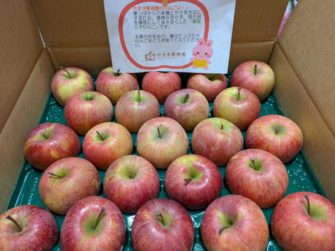 「小玉家庭用」葉取らずふじりんご🍎5キロ箱25個入りです。