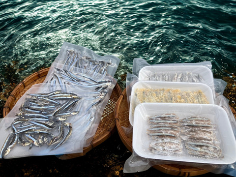 五島列島産　きびなごづくしセット　冷凍