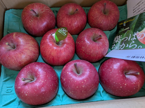 個性派りんご🍎葉隠れサンふじ  冬ギフトにもどうぞ（9個～12個）3キロ箱使用
