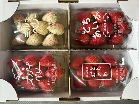 いちご いちご ラブソング（紅ほっぺ）デラックス DXサイズx2トレイ【送料