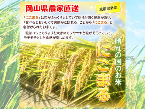 笑顔がこぼれる「にこまる」岡山県産 玄米 24kg