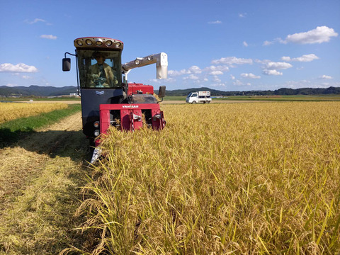 安心な有機JAS認証　有機栽培コシヒカリ分づき精米10㎏