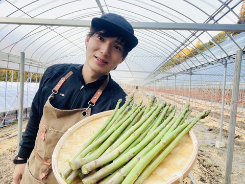 朝採】アスパラガス 2Lサイズ A等級 2kg【収穫当日発送】 | 野菜