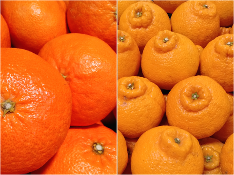 【食べ比べ】《家庭用》甘平×不知火 2kg(箱込み)×2箱 2月の柑橘セット①