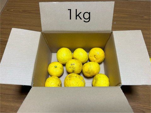 癒しの香り♪約1ｋｇ、本柚子（ゆず）、少し傷あり、サイズ混合