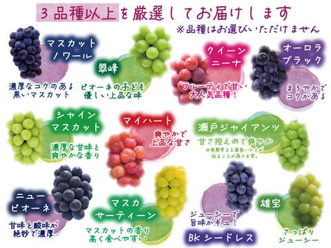 花笑み農園　岡山の訳ありブドウ3種食べ比べ　1kg【9/18～順次発送】W3M-1