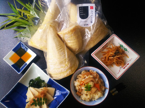 【期間限定セール！！】【産地直送！】みずみずしさそのまま！うつぶさの筍 真空パック