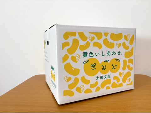 化学合成農薬栽培期間中不使用　土佐文旦　A品(農園独自基準)　大玉　10kg(15個前後)　黄色いしあわせ®　文旦の本場👑高知県土佐市産！　☆便利な皮むき器付き　※北海道への配送はできません