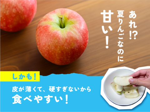 【新グンマーリンゴ】おぜの紅  3キロ箱 6玉〜15玉サイズ商品ID162360 長野県 信州 安曇野 リンゴ 幻 幻のリンゴ 予約 希少 旬
