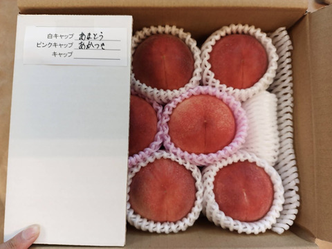 【福島の桃】品種おまかせ　小箱6〜10玉（約２kg）【ギフト・贈答用に】7月20日頃〜8月15日頃まで販売