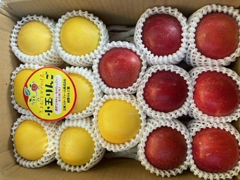 まるごとガブリっ！小玉・食べきりサイズMIXりんご【岩手奥州市江刺産】              小玉おまかせミックス3kg