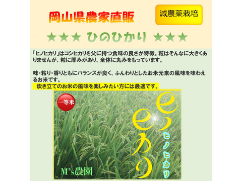 お米20kg 岡山県産　ヒノヒカリ　玄米　るいるい お米の風味を味わえる「ひのひかり」岡山県産 玄米 24kg：岡山県