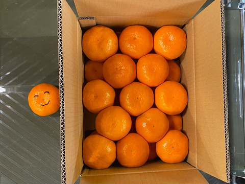 【大玉の常識破り】薄くない大有田みかん 5キロ箱 和歌山県 有田 みかん 3L中心サイズ　秀・家庭用ミックス