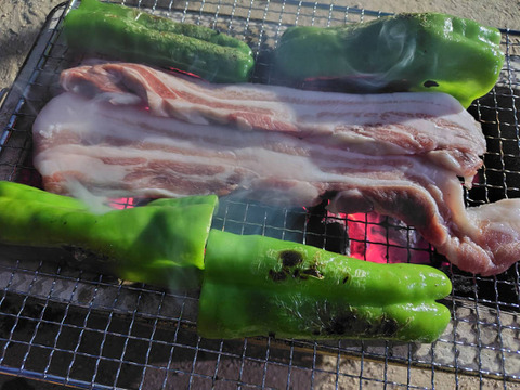 【冬ギフト】放牧飼育と地元の美味しいもので育てたブタ！4元豚の白豚『みつ』牧場長大好きこってりセット300ｇ×4 500ｇ×1