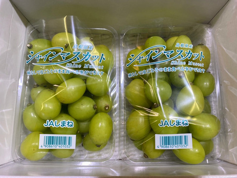 【現品限り一斉値下げ！】 島根県産シャインマスカット 1kg粒っこ：島根県産のシャイン 果物