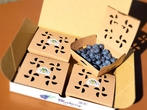2025収穫開始！農薬不使用！旬のブルーベリーを食べ比べ！(150g