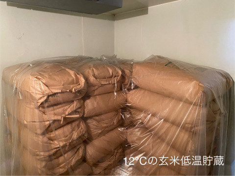 まほろば浪漫🌾ヒノヒカリ (精米5㎏)令和6年