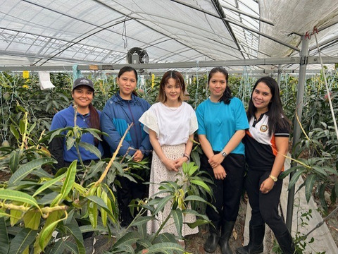 南国鹿児島産【生ライチ】最高峰品種玉荷包【国産】(約700g)【贈答用】【夏ギフト】