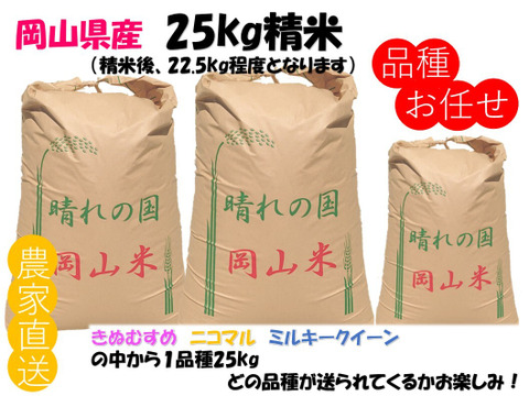 品種お任せ「ミルキークイーンorにこまるorきぬむすめ」岡山県産 精米 25kg（精米後22.5kg程度でのお届けとなります）