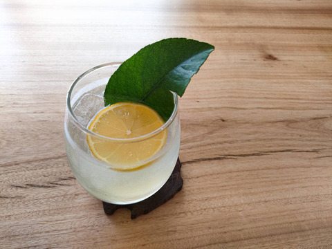 【あなたの新しい調味料へ】香り高い「レモンの葉」