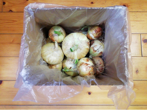 タマネギ2.5㎏【農薬化学肥料不使用】【酢タマネギのレシピ付き】【金曜日常温便で発送】【熨斗(のし)対応可】