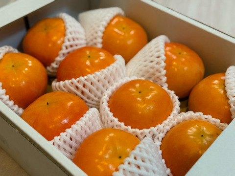 贈ってもらえると嬉しい　和歌山晩秋の味覚　富有柿　贈答品（10個入）