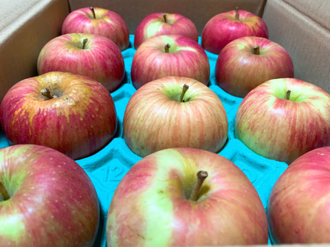 終わります！甘い夏りんごですよー！サンつがる 3キロ箱　７〜15玉 商品ID44867 長野県 信州 安曇野 リンゴ 幻 幻のリンゴ 予約 希少 旬