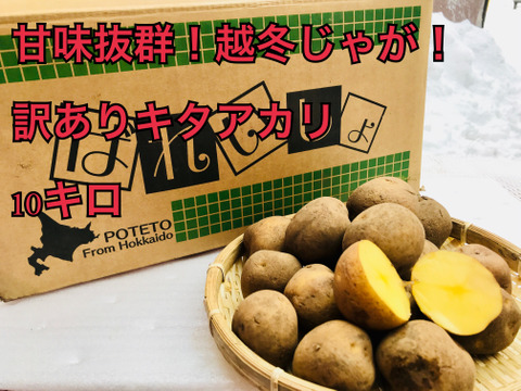 ★訳あり品 じゃがいも キタアカリ10キロ 、北海道 ジャガイモ