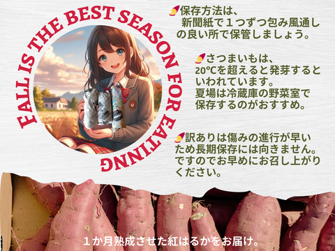 ネットリ甘ーい紅はるかを愛情価格でお届け！(10kg）