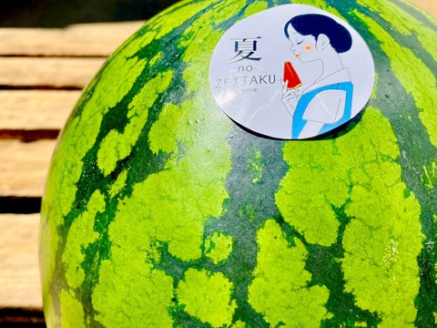 【夏のぜいたく】大玉すいか(7kg〜9kg)