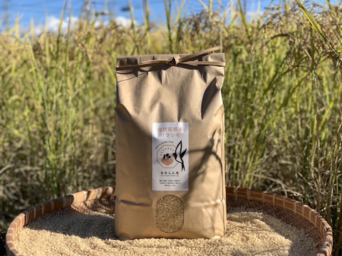 【農薬・肥料不使用】優秀金賞受賞！自然栽培米ハツシモ【5kg】【玄米】【令和6年産】