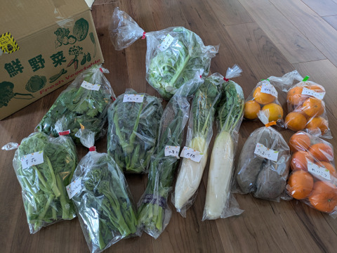 今だけ】野菜増量🎁驚きの甘さ！生で食べたい新玉ねぎ＆新鮮野菜