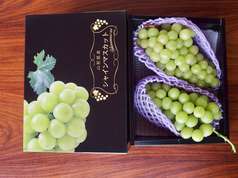 【厳選品】山形県産すとう農園のシャインマスカット（1.4~1.6kg)2房