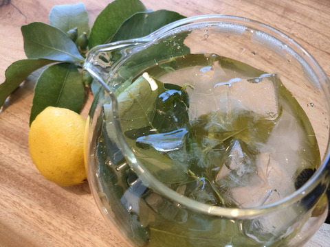 【あなたの新しい調味料へ】香り高い「レモンの葉」