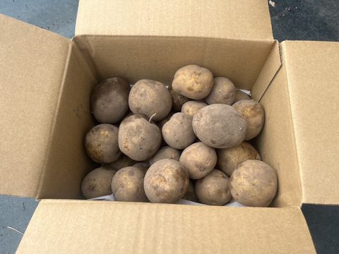 栽培期間化学肥料・農薬不使用！ホクホク男爵いも5kg