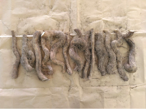 2kg⭐️訳あり⭐️自然薯⭐️《超特価！》