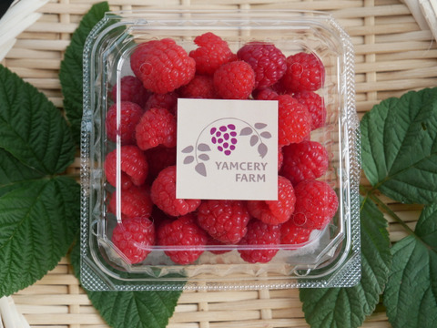 ６月限定販売！神奈川県産フレッシュラズベリー150g