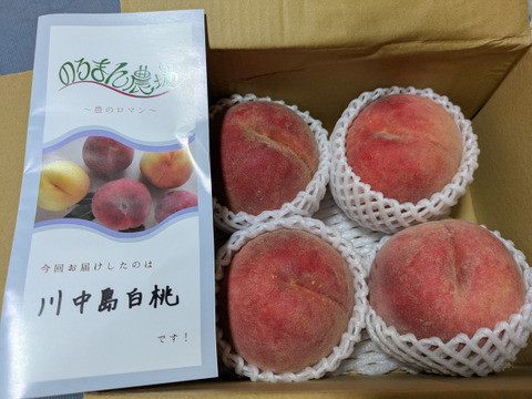 ★昨年3500件発送　川中島白桃！！1.5㎏（3－6玉）【夏ギフト】